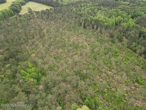 160 Acre in Bienville Parish Near : Arcadia : Bienville Parish : Louisiana