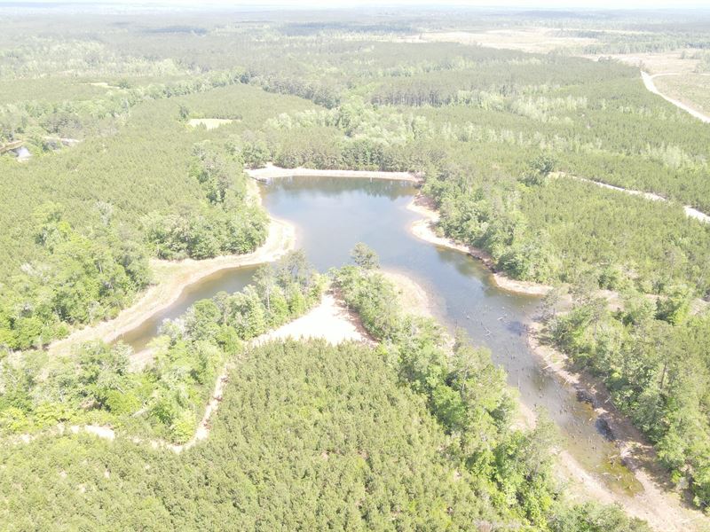 Two Lakes Tract, 205 Acres : Leakesville : Greene County : Mississippi