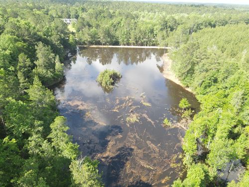 Rounsaville Tract, 192 Acres : Leakesville : Greene County : Mississippi