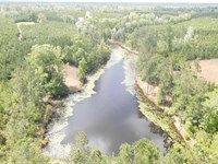 Tom White Road, 88 Acres : Leakesville : Greene County : Mississippi