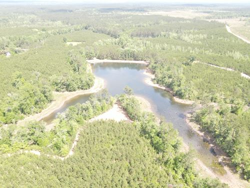 Green Lodge Road Tract, 117 Acres : Leakesville : Greene County : Mississippi