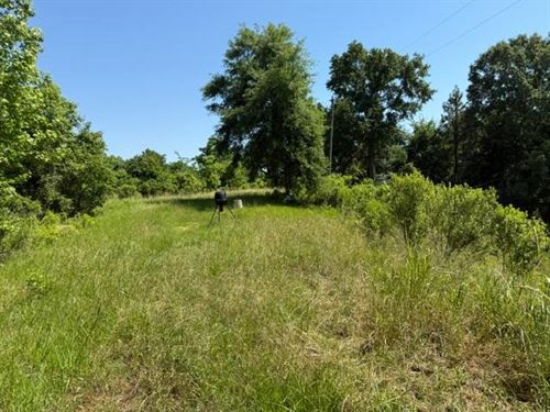 53 Cliffs Plantation, Natchez, MS : Natchez : Adams County : Mississippi