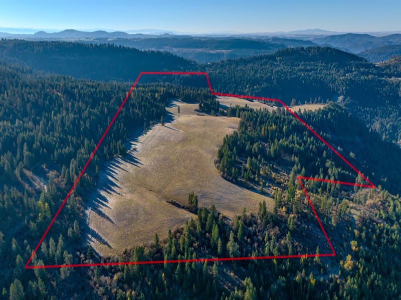 Hidden Meadows 320 Acres : Orofino : Clearwater County : Idaho