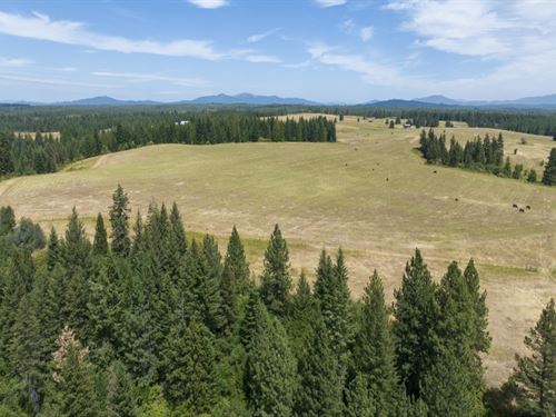 Rocking J Ranch, Parcels 14 & 15 : Weippe : Clearwater County : Idaho