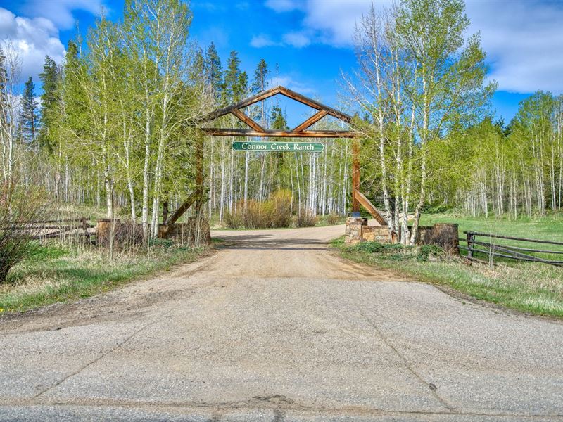 Connor Creek Ranch 5 : Walden : Jackson County : Colorado