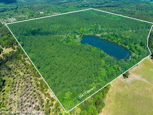 114 Acres, County Road 1115 : Atlanta : Cass County : Texas