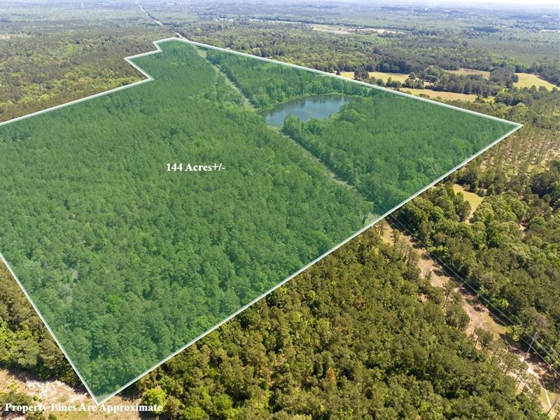 144 Acres, County Road 1115 : Atlanta : Cass County : Texas