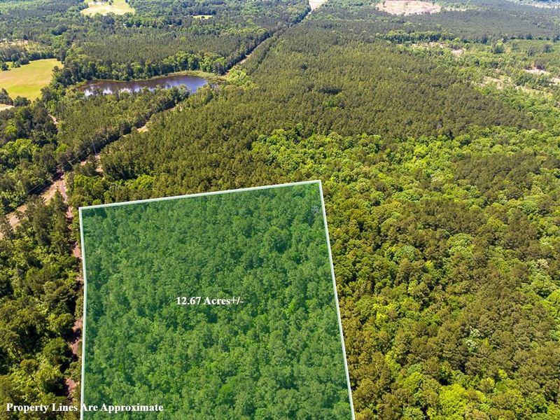 12 Acres, County Road 1115 : Atlanta : Cass County : Texas