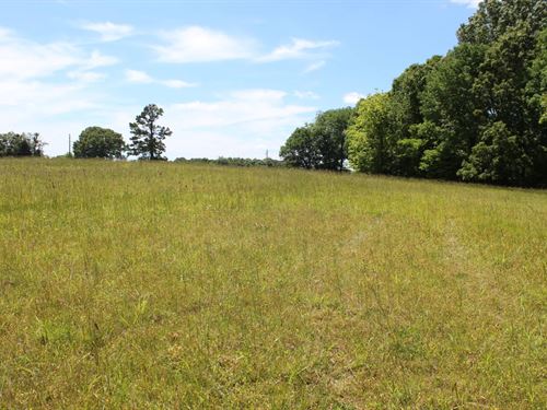 80 Acres in Hardeman County, TN : Hickory Valley : Hardeman County : Tennessee