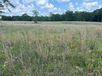 62 Acres Near Sylacauga : Sylacauga : Coosa County : Alabama