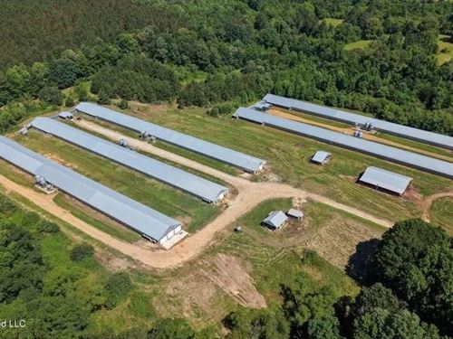 Carthage MS Turnkey 5-House Breeder : Philadelphia : Leake County : Mississippi