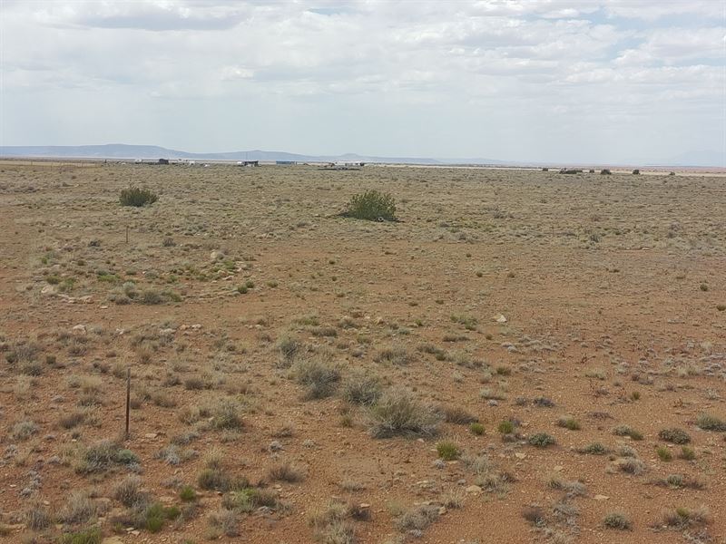 Invest Early in 21 AC Near Winslow : Winslow : Navajo County : Arizona