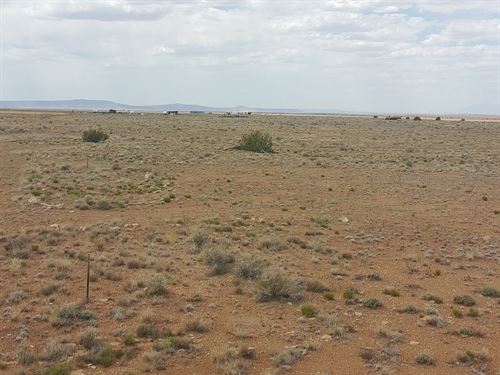 Invest Early in 21 AC Near Winslow : Winslow : Navajo County : Arizona