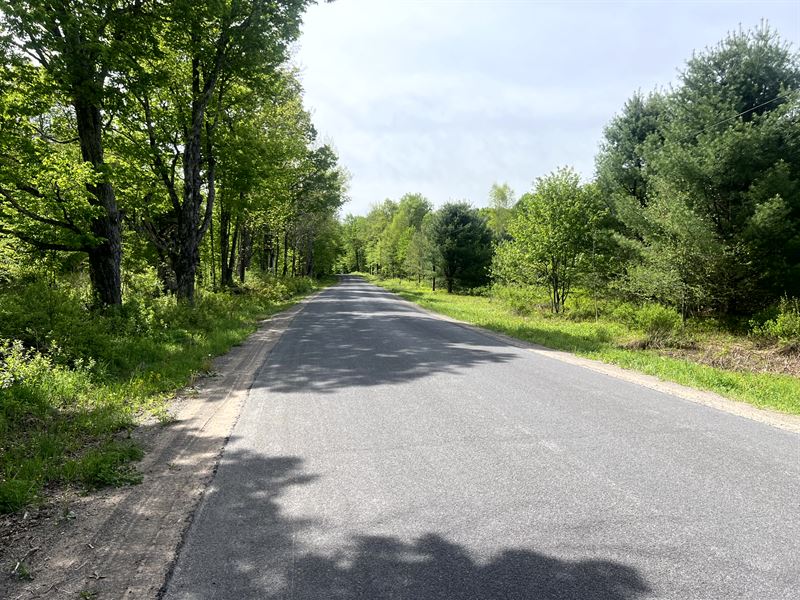 Near Nine State Forests : Annsville : Oneida County : New York