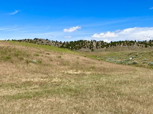 Bobcat Ridge Tract 4 : Kaycee : Johnson County : Wyoming
