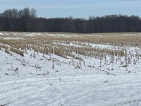 Land for Sale, Calhoun Co, MI : Burlington : Calhoun County : Michigan