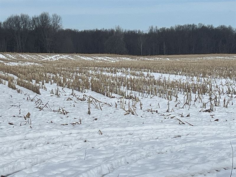 Land for Sale, Calhoun Co, MI : Burlington : Calhoun County : Michigan