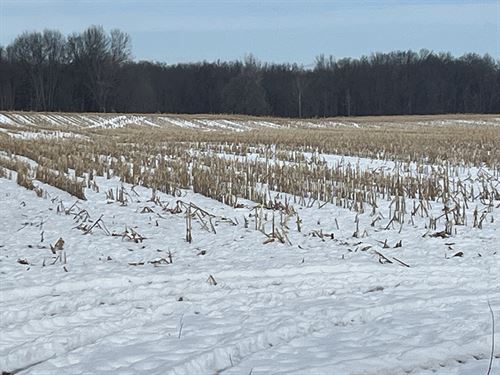 Land for Sale, Calhoun Co, MI : Burlington : Calhoun County : Michigan