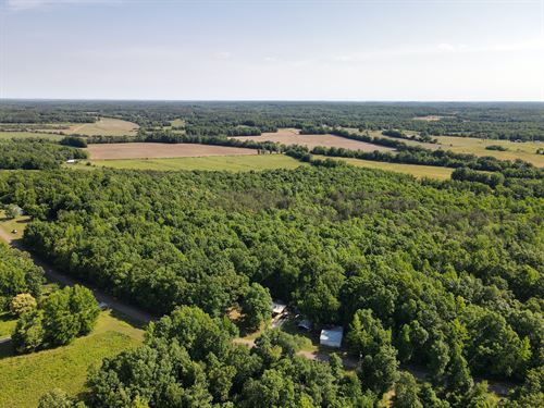 120Ac TN Land for Sale, Hunting : Saltillo : Henderson County : Tennessee