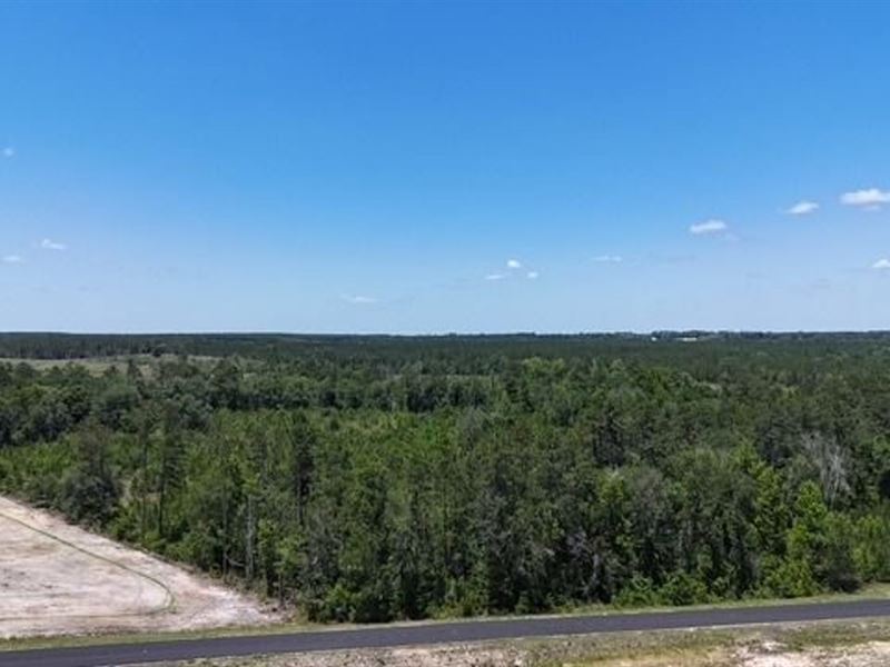 19-Acre Private Retreat on Oscar Ti : Baxley : Appling County : Georgia