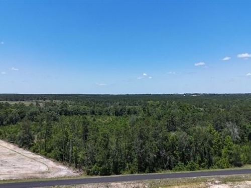 19-Acre Private Retreat on Oscar Ti : Baxley : Appling County : Georgia