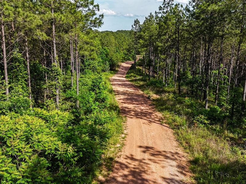 525 Acre Shelby County Recreational : Calera : Shelby County : Alabama