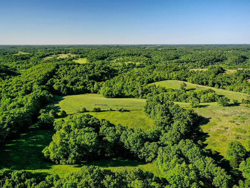 Thomas Hollow 50 : Exeter : Barry County : Missouri