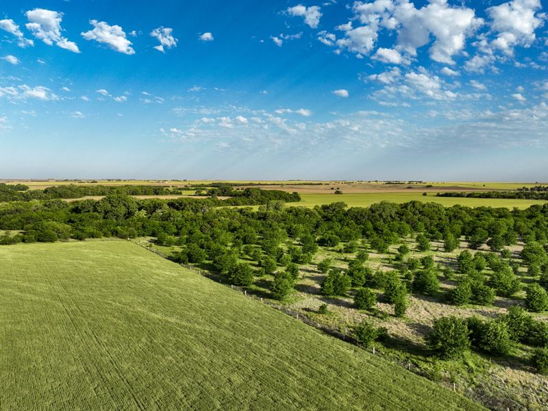 Coon Creek Whitetail Farm : Garfield : Pawnee County : Kansas