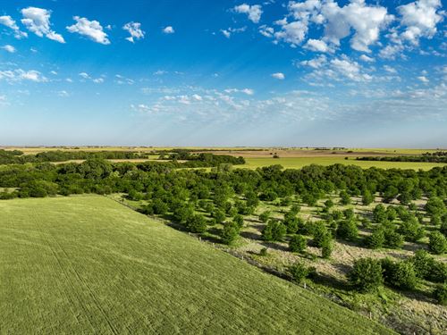 Coon Creek Whitetail Farm : Garfield : Pawnee County : Kansas