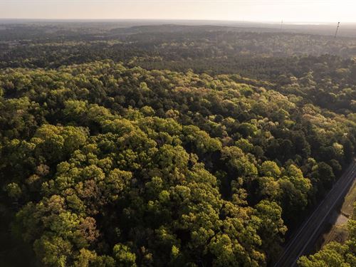 Dogwood Hills Farm : Karnack : Harrison County : Texas