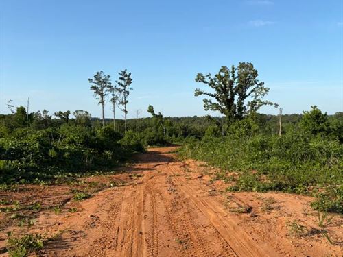 44 Acres in Union County, MS : New Albany : Union County : Mississippi