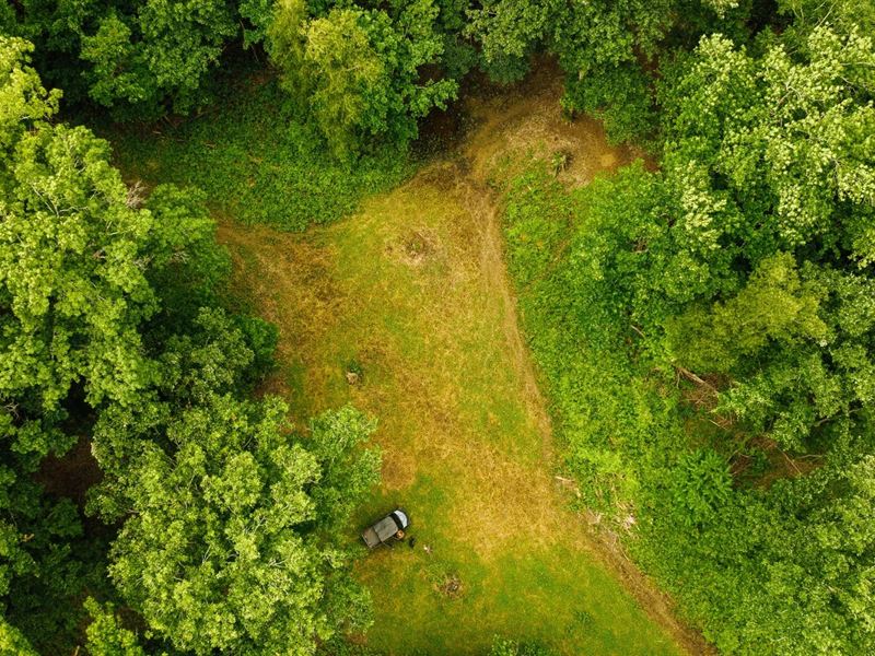 351 Acres in Jefferson County, MS : Lorman : Jefferson County : Mississippi