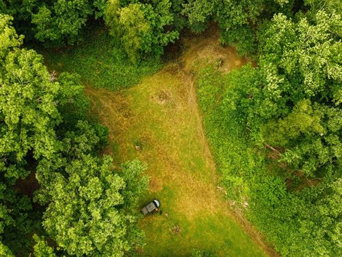 351 Acres in Jefferson County, MS : Lorman : Jefferson County : Mississippi