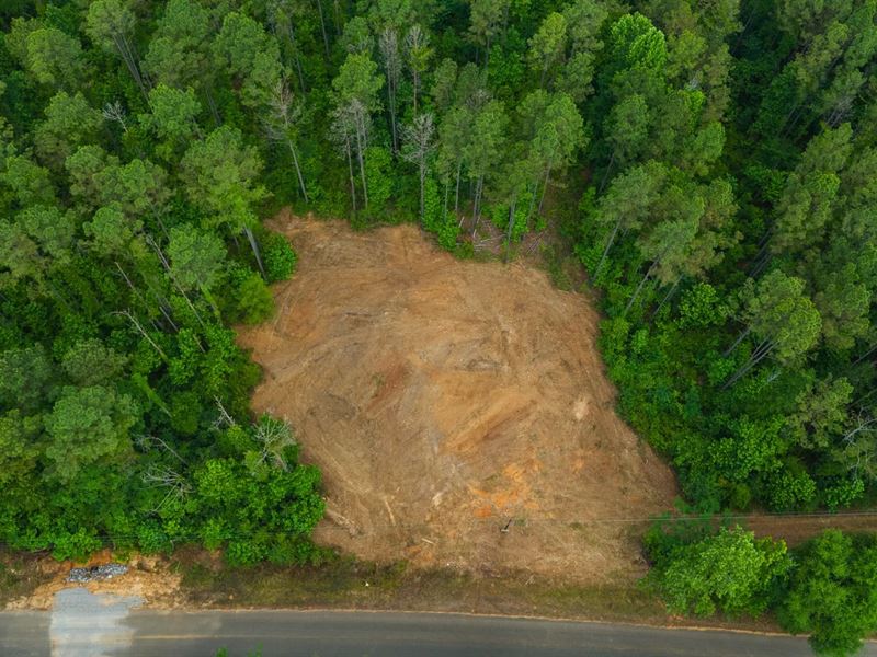 13 Acres in Hale County, AL : Greensboro : Hale County : Alabama