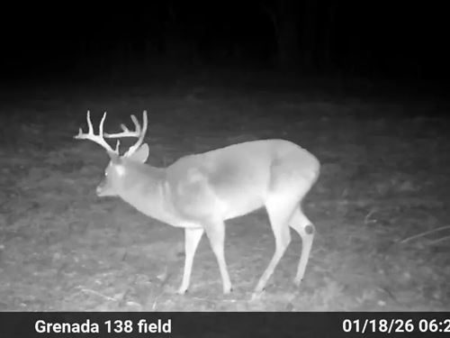 70 Acres in Grenada County, MS : Gore Springs : Grenada County : Mississippi
