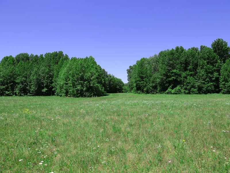 77 Acres in White County, AR : Romance : White County : Arkansas