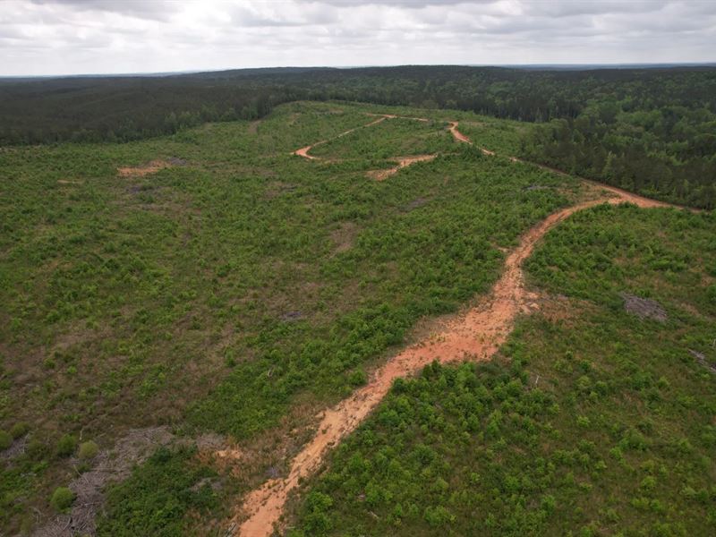 156 Acres in Attala County, MS : Ethel : Attala County : Mississippi