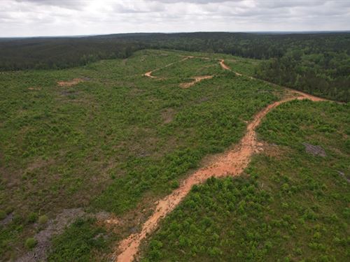 156 Acres in Attala County, MS : Ethel : Attala County : Mississippi