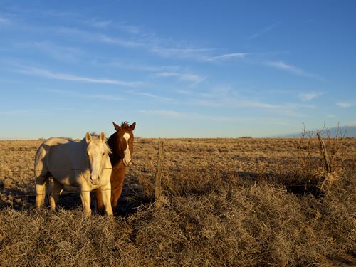 Close To Town, I-25 & Rio Metro : Los Lunas : Valencia County : New Mexico