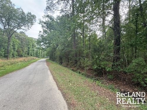 28 ac, Wooded Tract in Town : Bastrop : Morehouse Parish : Louisiana