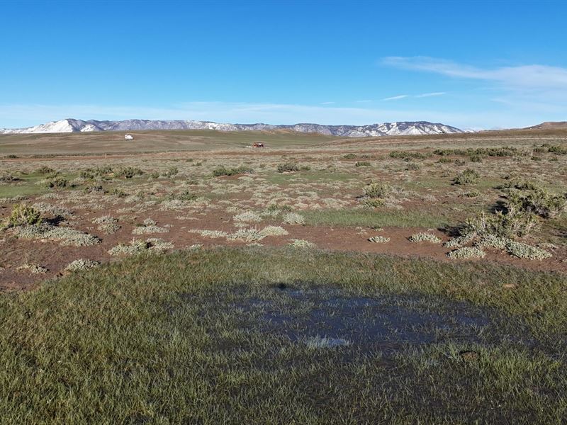 Silver Sage Run : Laramie : Albany County : Wyoming
