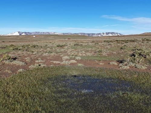 Silver Sage Run : Laramie : Albany County : Wyoming