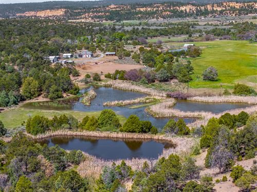 Seven Waters Ranch : Cuba : Sandoval County : New Mexico