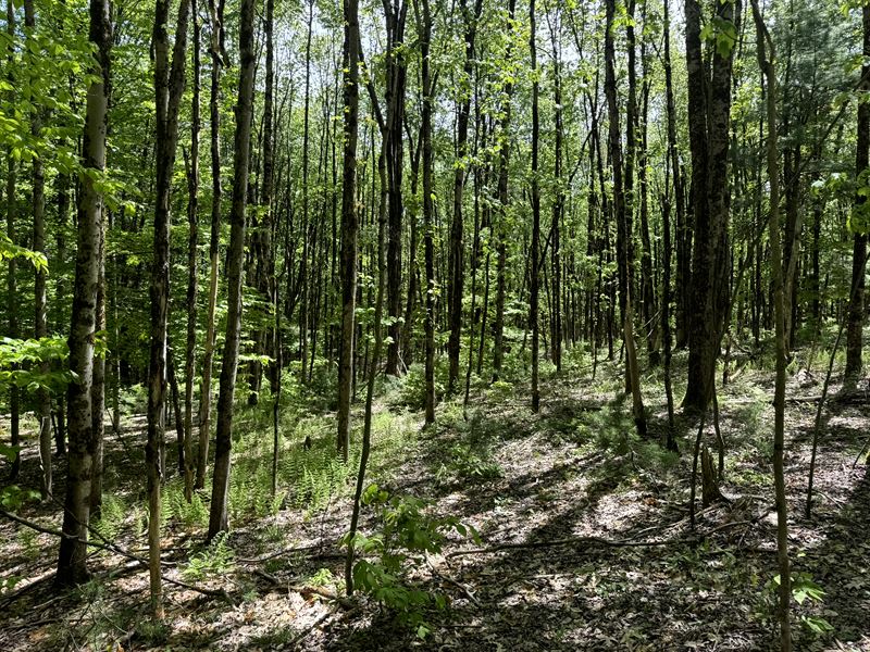 North Country Retreat : Vienna : Oneida County : New York