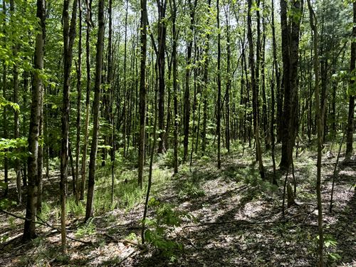 North Country Retreat : Vienna : Oneida County : New York