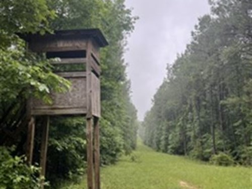 Lowenkamp Timber Haven : Hazlehurst : Copiah County : Mississippi