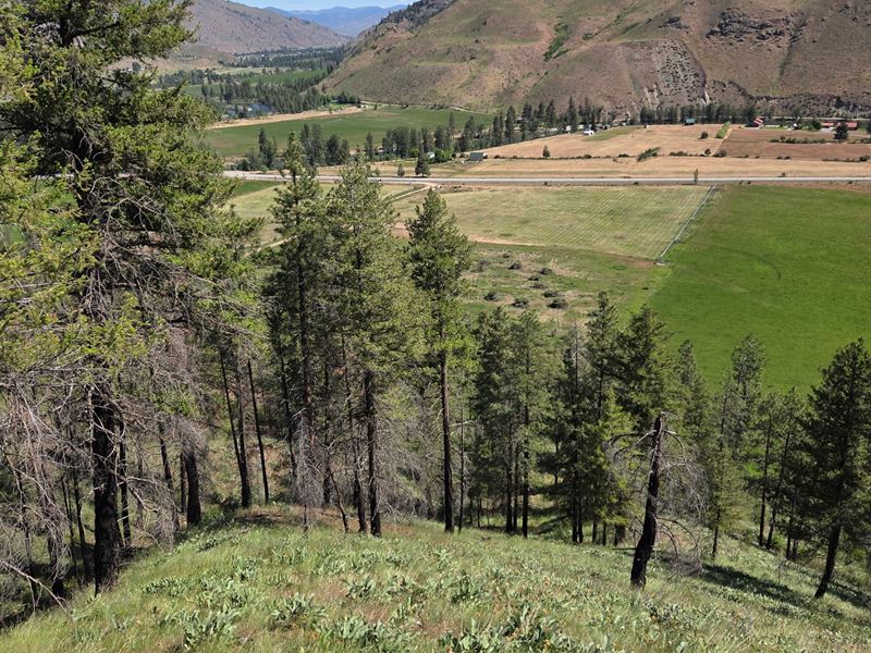 Methow River View : Carlton : Okanogan County : Washington
