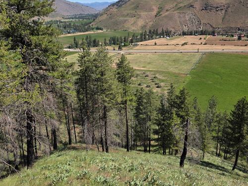 Methow River View : Carlton : Okanogan County : Washington