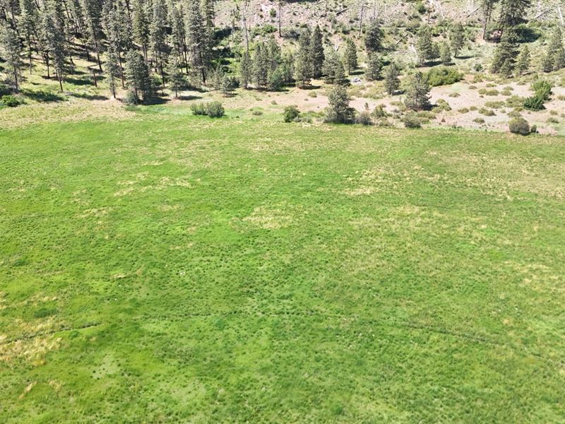 Methow Valley Pivot Ground : Carlton : Okanogan County : Washington