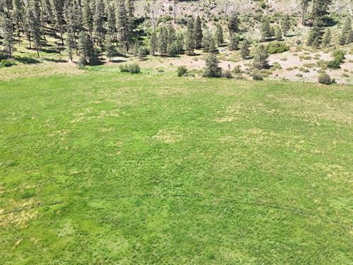 Methow Valley Pivot Ground : Carlton : Okanogan County : Washington